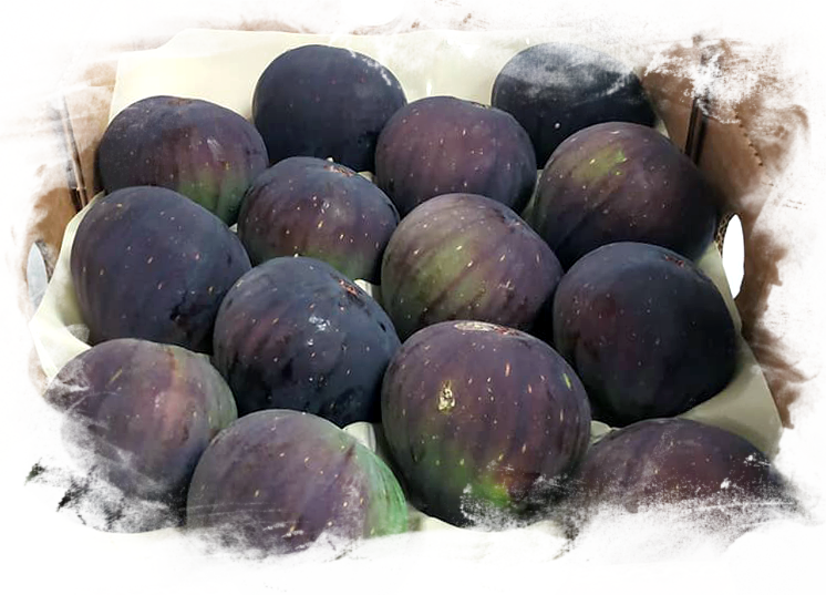 royal-black-figs