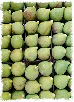 Royal Figs